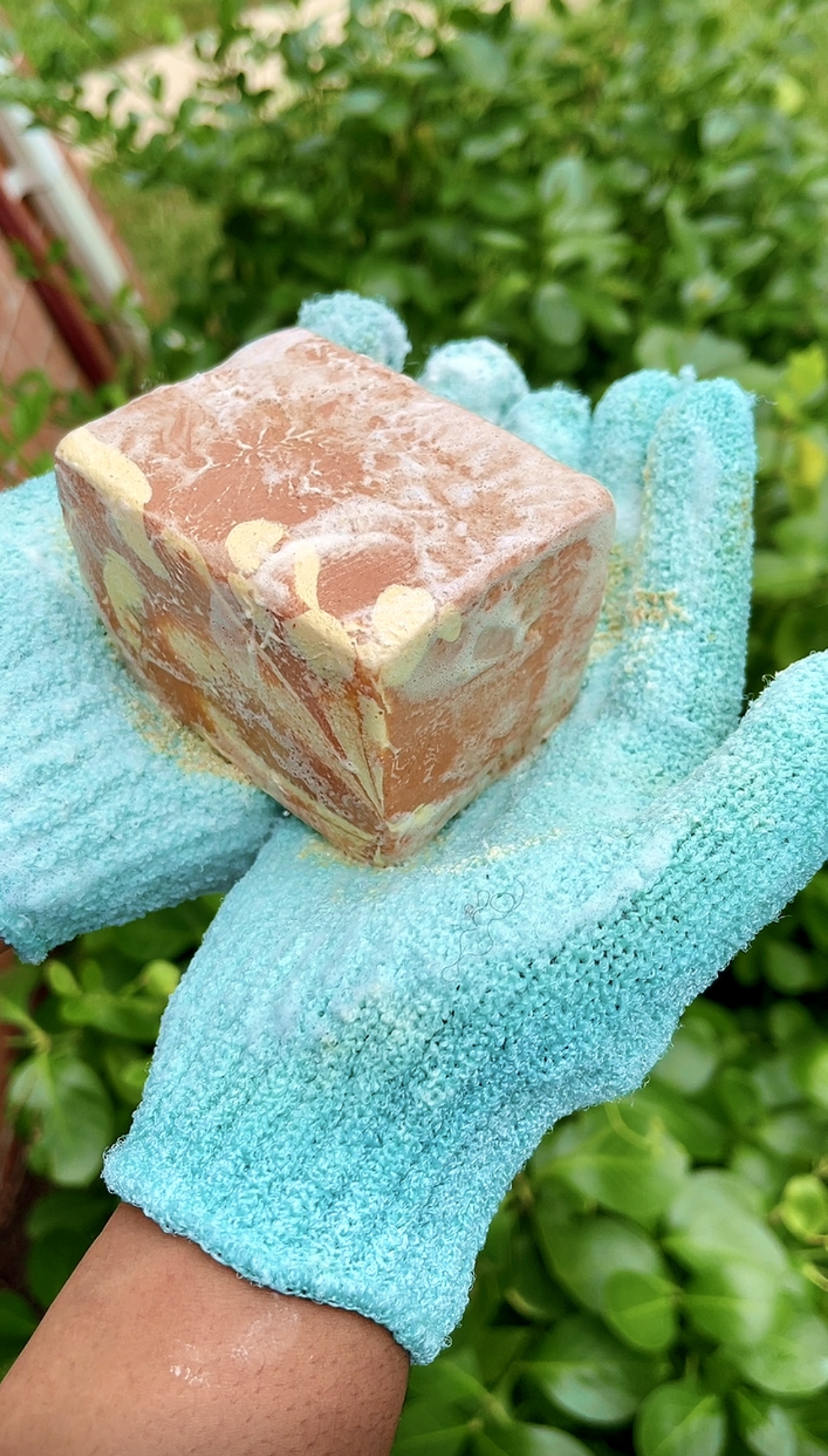 Fresh Goats Milk & Fruit Soap ( Park of 1) - Image 2