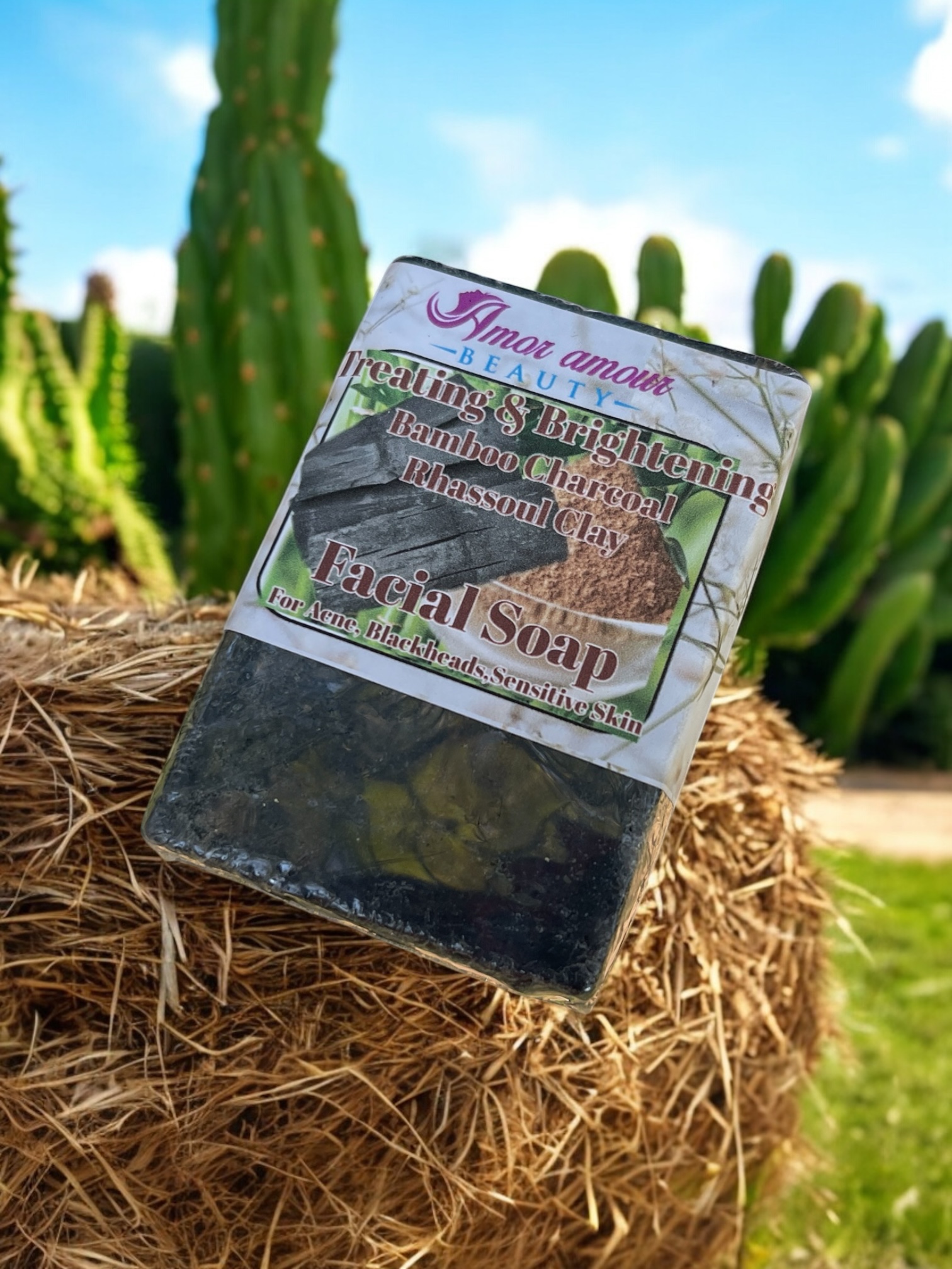 Bamboo Charcoal & Rhassoul Clay Soap (Park of 1)