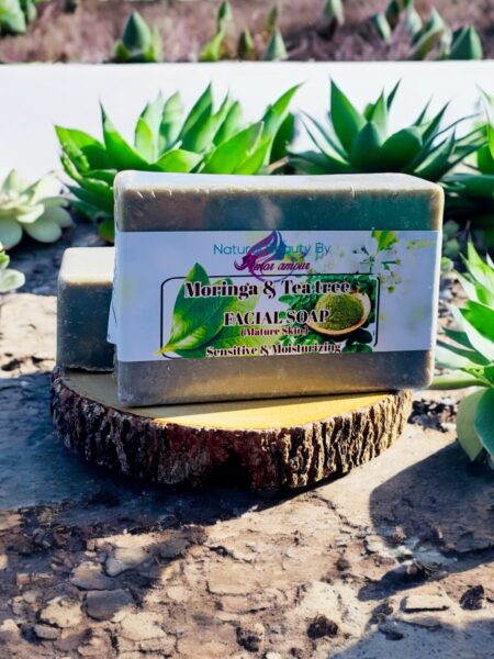 Moringa & Tea Tree Powder Facial Soap ( Park of 1)