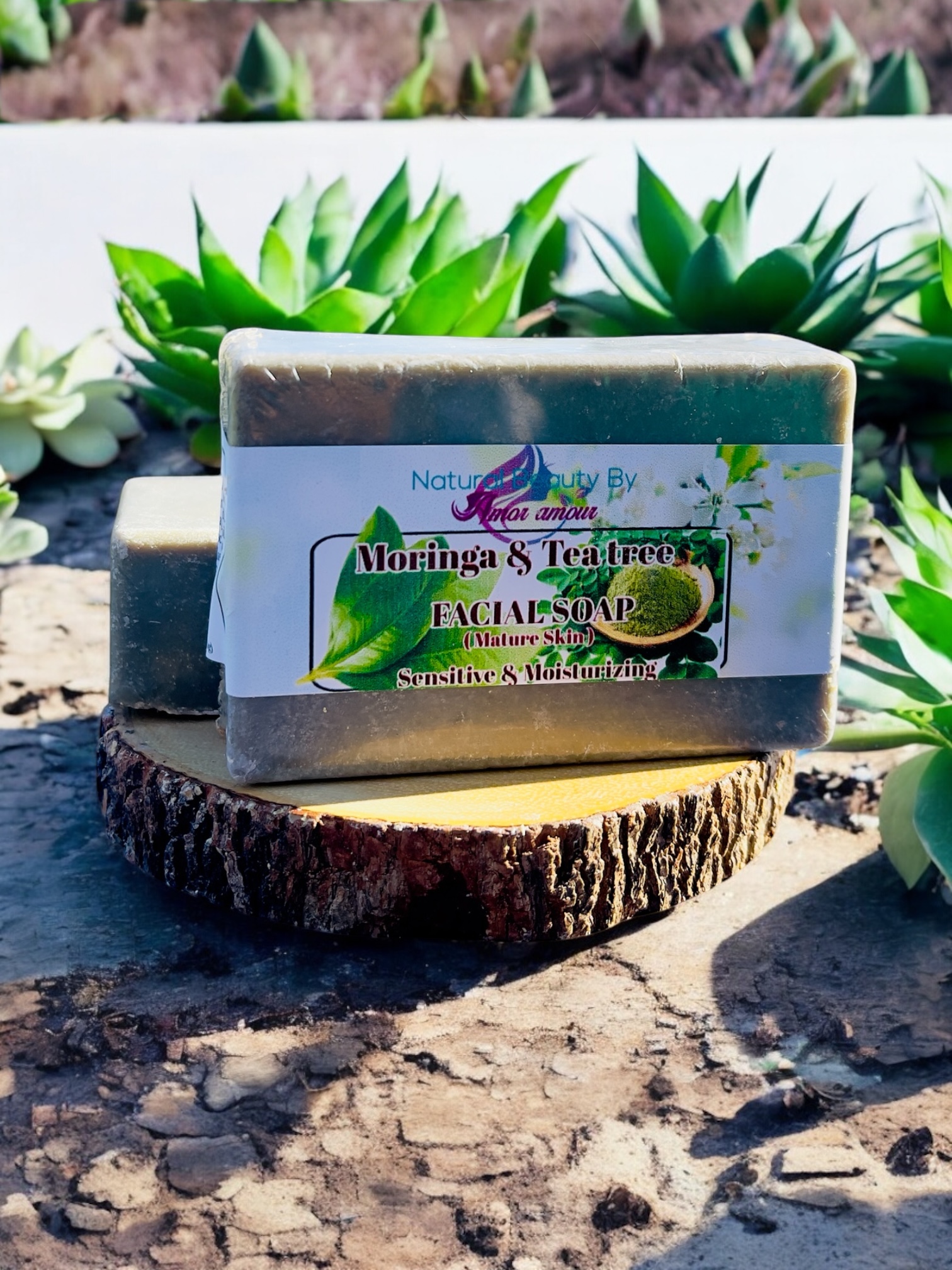 Moringa & Tea Tree Powder Facial Soap ( Park of 1)