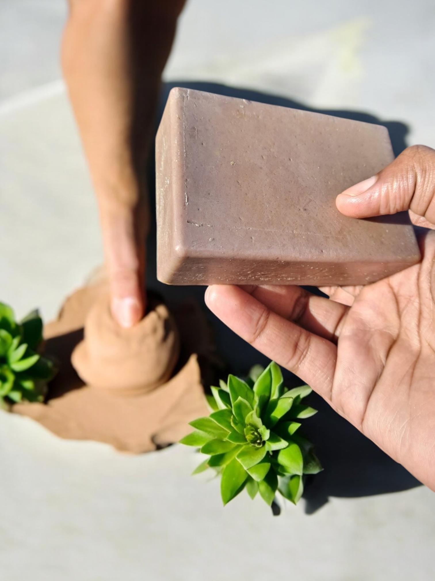 Safou Plums & Green Tea (Facial Soap) Park of 1 - Image 3